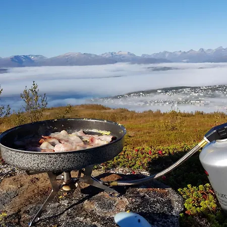 Cozy Close To The And The Mountains *